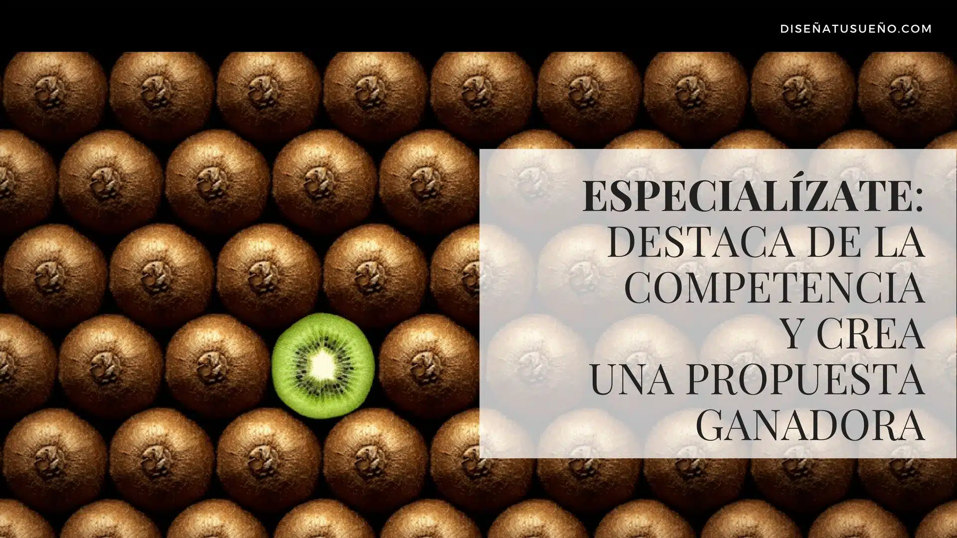 Especialízate Destaca de la Competencia y crea una Propuesta Ganadora