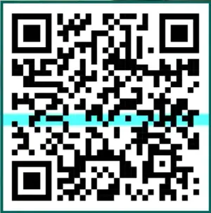 QR de pago